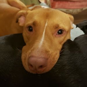 Meet your Posher, Jared